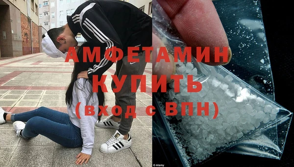 трава Сатка