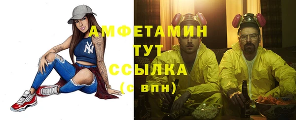 трава Сатка