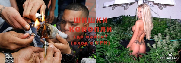 гидра Аркадак