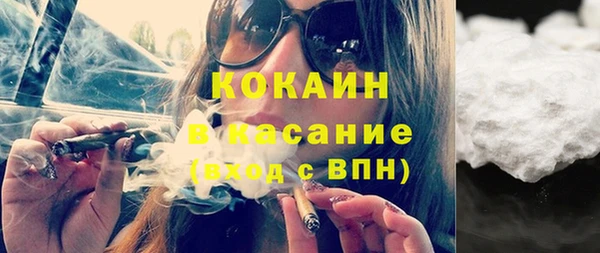 гидра Аркадак